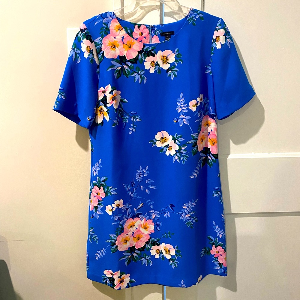 Ann Taylor dress, royal blue with pink flowers, EUC size 4